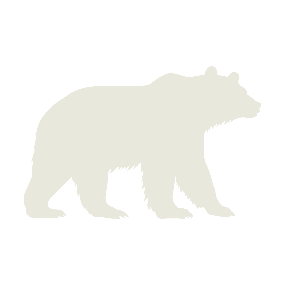 bear white icon
