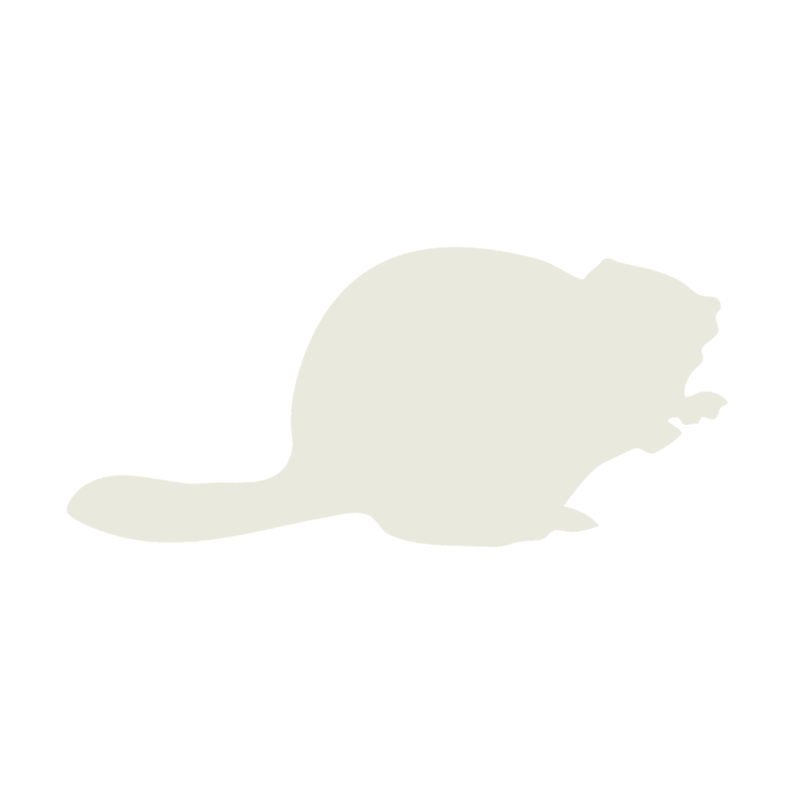 beaver white icon